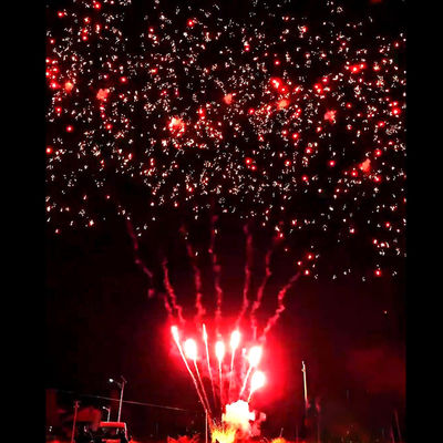 Liuyang Fuegos Artificiales Suministros Mandarín Nuevos Fuegos Artificiales Calientes 56 Disparos Saludo Pastel de Exterior Baterías Ciruela Roja Fuegos Artificiales Pirotecnia