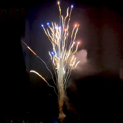 Fábrica china personalizada 100 disparos Aullidos de lobos Torta Fuegos artificiales mayoristas pirotecnia nuevos fuegos artificiales para Año Nuevo Navidad celebración de bodas