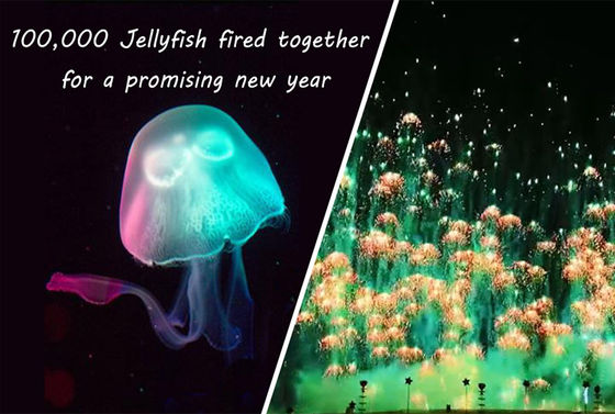 Fuegos artificiales Skyshots de Toy Firework Jellyfish Consumer Novelty del Año Nuevo pirotécnica