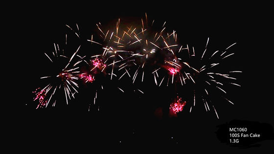 Fuegos artificiales profesionales de la torta del saludo de la pirotecnia 100 tiros