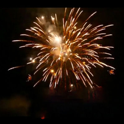 Tiro clásico al aire libre chino pirotécnica de encargo de los fuegos artificiales 16 de la torta